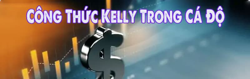 Trên thị trường có bao nhiêu phiên bản của công thức Kelly?
